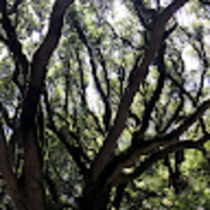 Meet your Posher, Garett